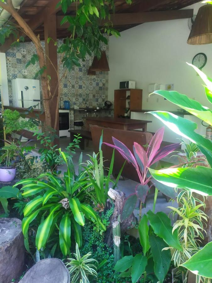 Arua Observacao De Vida Silvestre Praia do Forte Eksteriør bilde