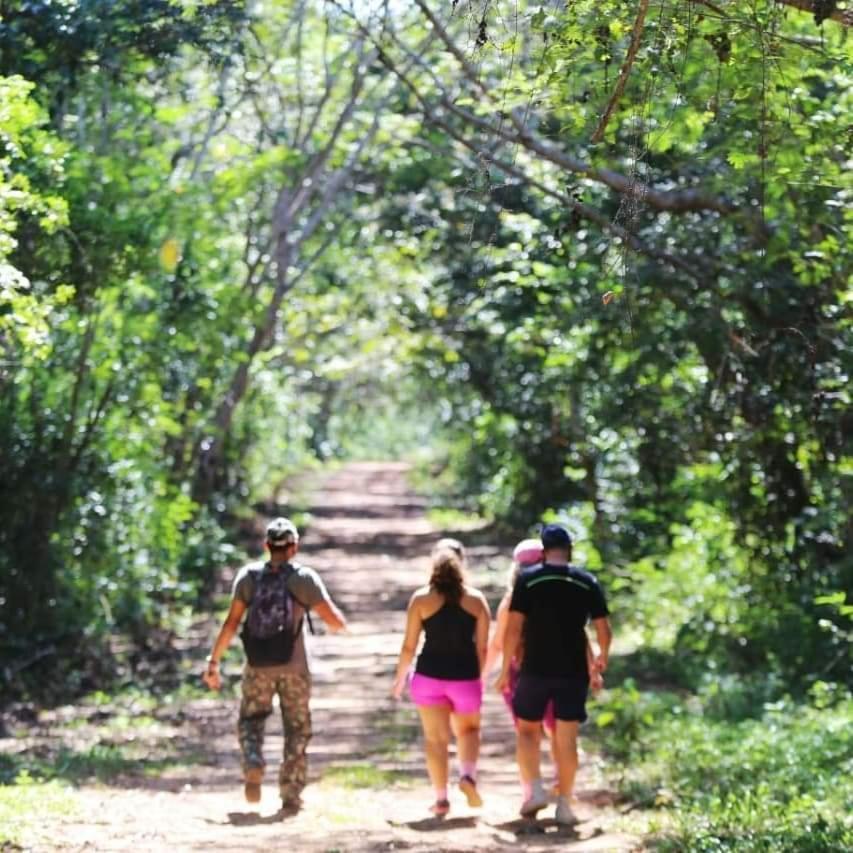 Arua Observacao De Vida Silvestre Praia do Forte Eksteriør bilde