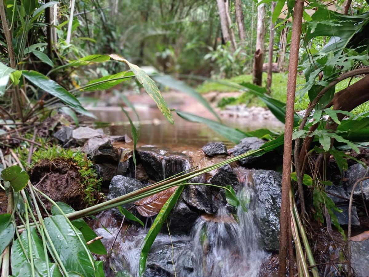 Arua Observacao De Vida Silvestre Praia do Forte Eksteriør bilde